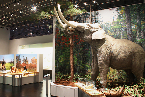 総合展示第一展示室「先史・古代」がリニューアルオープン ── 国立歴史民俗博物館 総合展示第一展示室「先史・古代」がリニューアルオープン ── 国立歴史民俗博物館