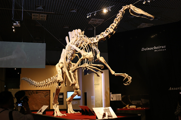 国立科学博物館「特別展　恐竜博 2019」