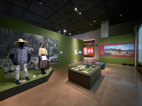 国立歴史民俗博物館「ハワイ:日本人移民の150年と憧れの島のなりたち」