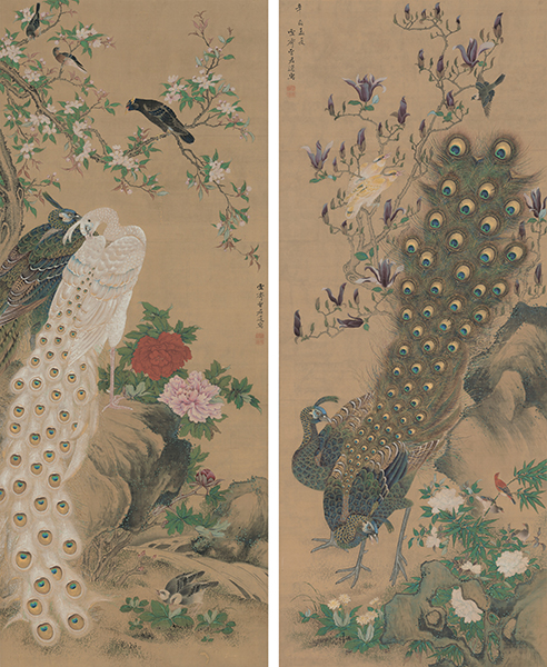 増山雪斎《孔雀図》江戸時代、享和元年（1801）　Museum of Fine Arts, Boston, Fenollosa-Weld Collection