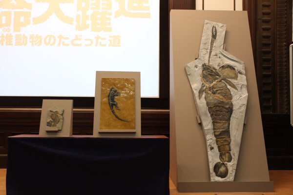 「生命大躍進」展の記者発表