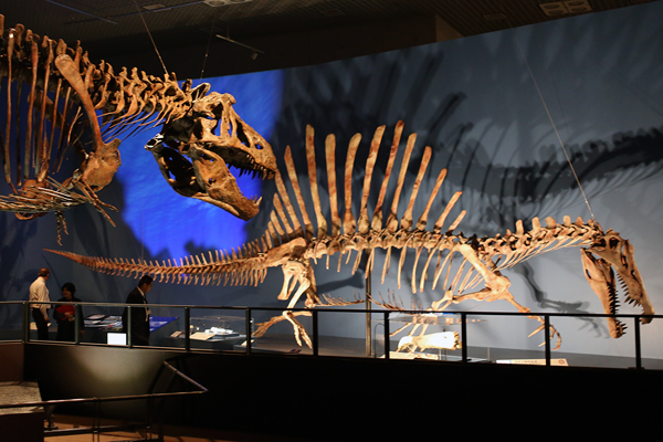 国立科学博物館「恐竜博2016」