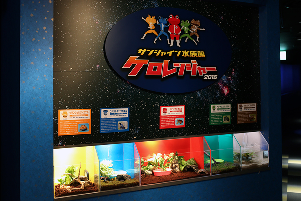 サンシャイン水族館で「ケロレンジャー 2016」 サンシャイン水族館で「ケロレンジャー 2016」