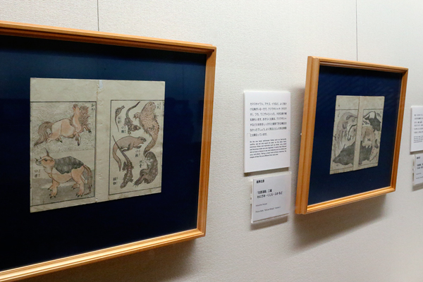 太田記念美術館「北斎漫画~森羅万象のスケッチ」 太田記念美術館「北斎漫画~森羅万象のスケッチ」