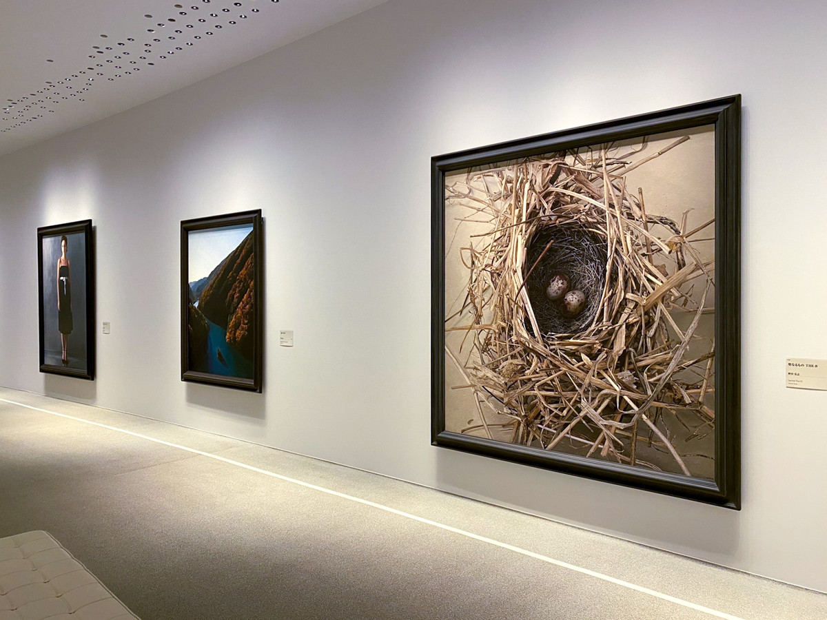 ホキ美術館 ギャラリー3の展示