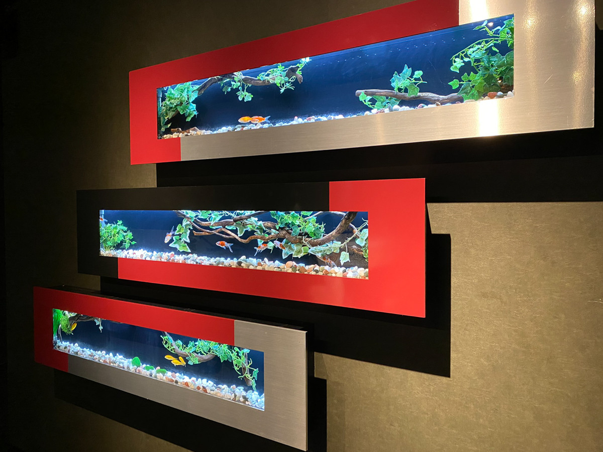 最初の作品は「ZENアクアリウム」
