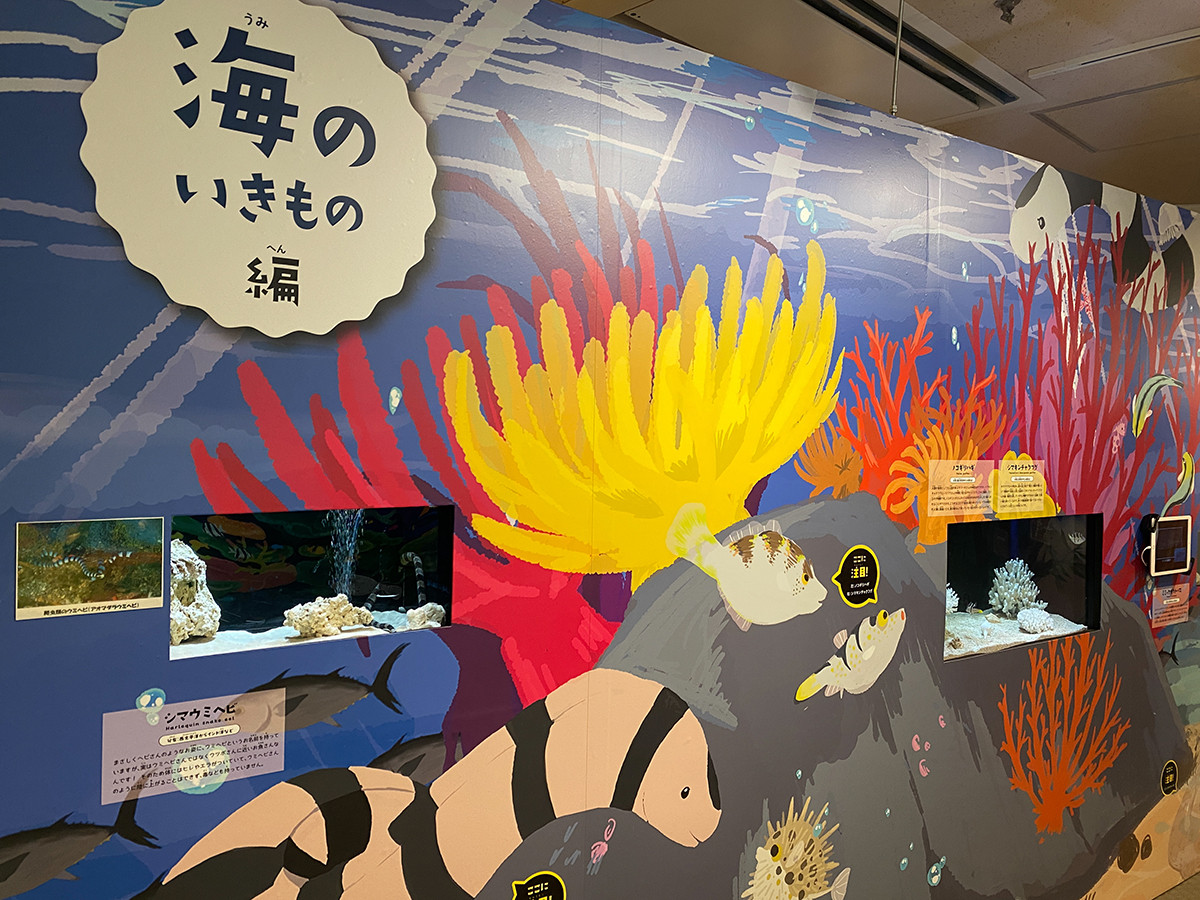 しながわ水族館「絶対に見つからないいきもの展」会場