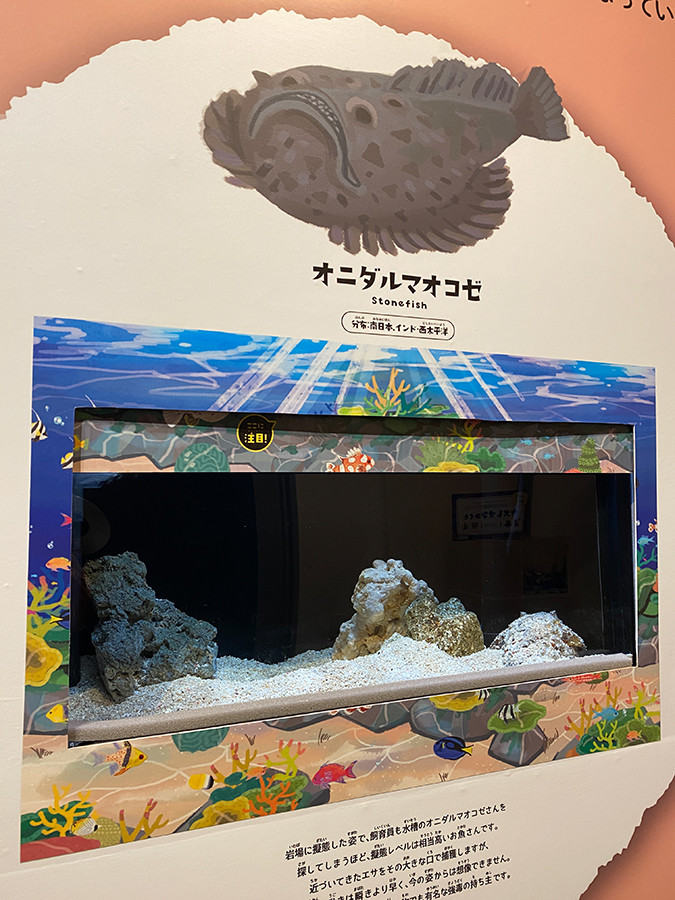 しながわ水族館「絶対に見つからないいきもの展」会場