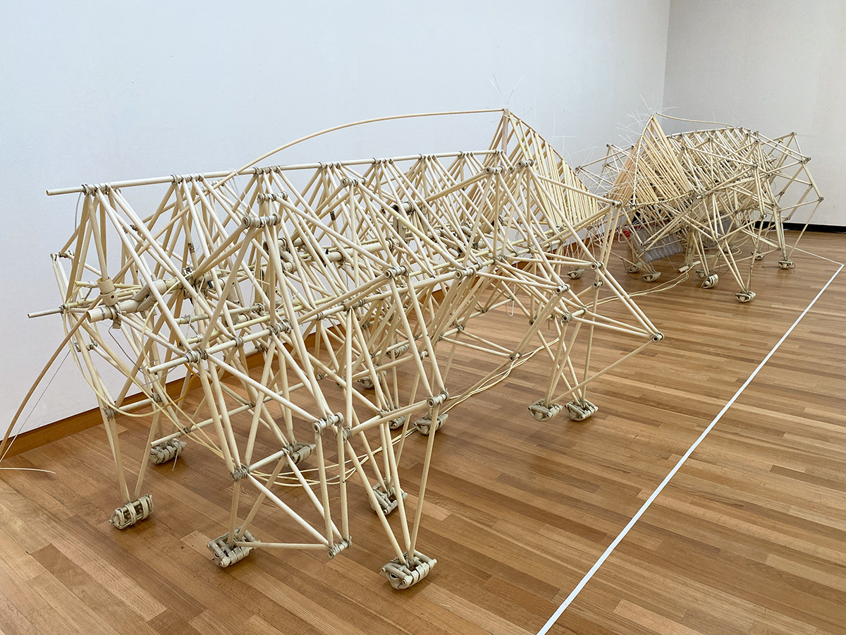 テオ・ヤンセン《アニマリス・アデュラリ》2012年 アスペルソリウム期