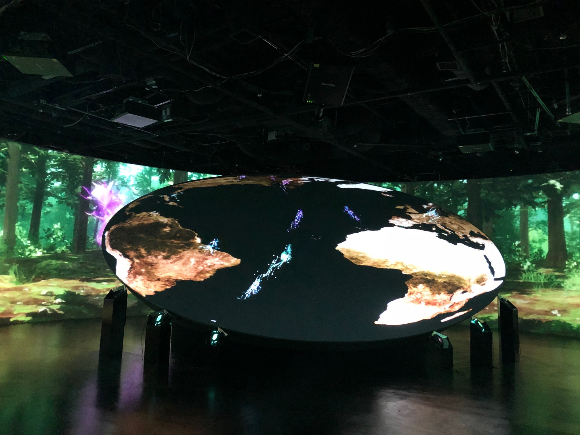 ZUKAN MUSEUM GINZA powered by 小学館の図鑑NEOがオープン