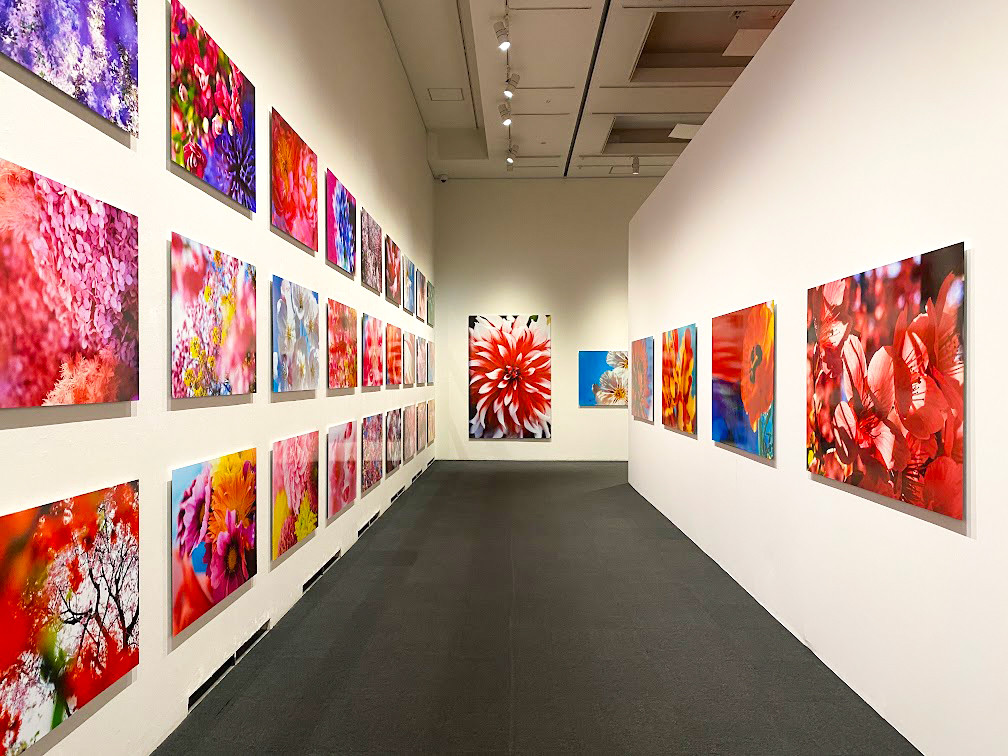 上野の森美術館「蜷川実花展 －虚構と現実の間に－」会場