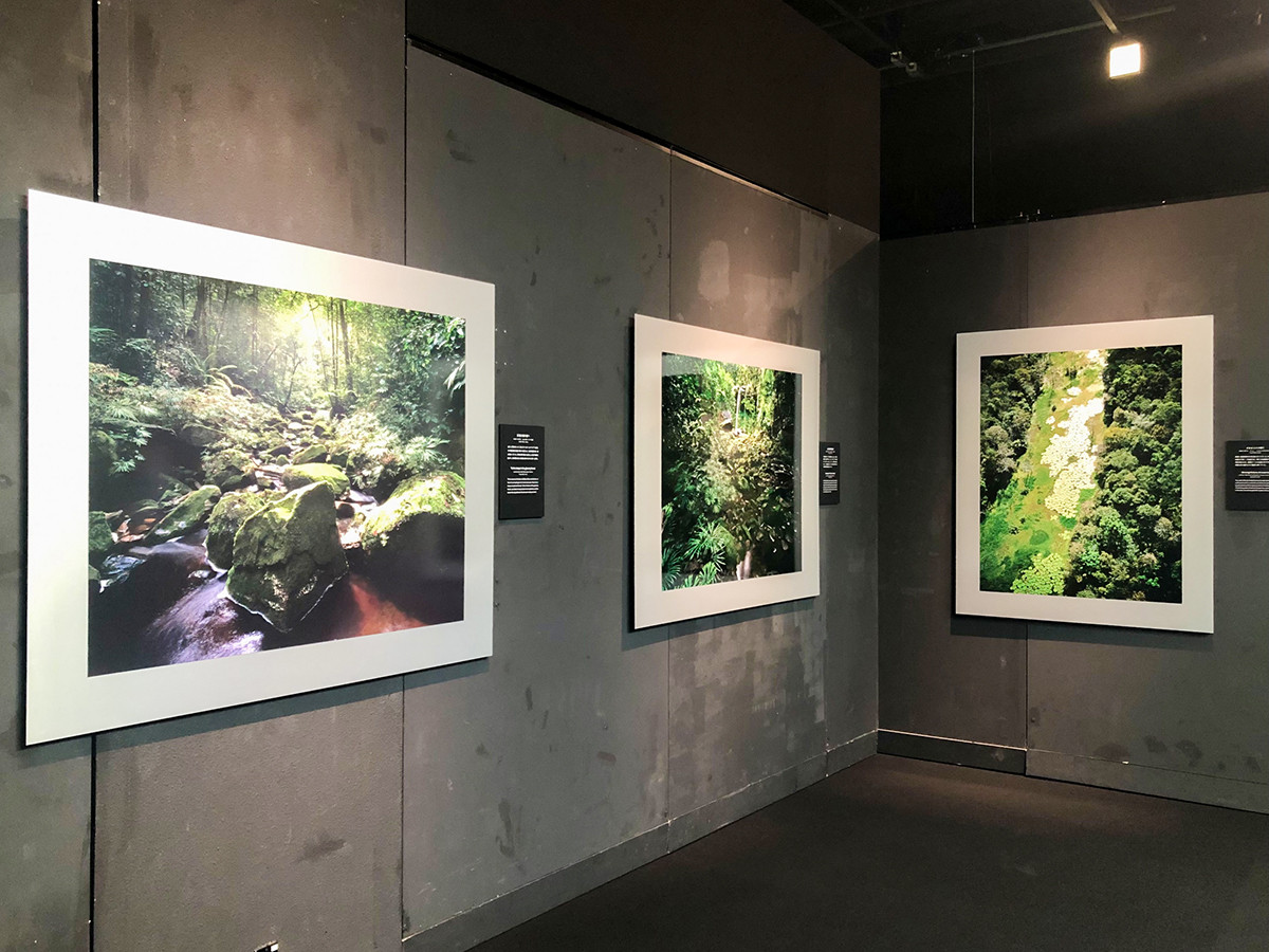 Gallery AaMo「NATURE AQUARIUM EXHIBITION 2021 TOKYO」会場