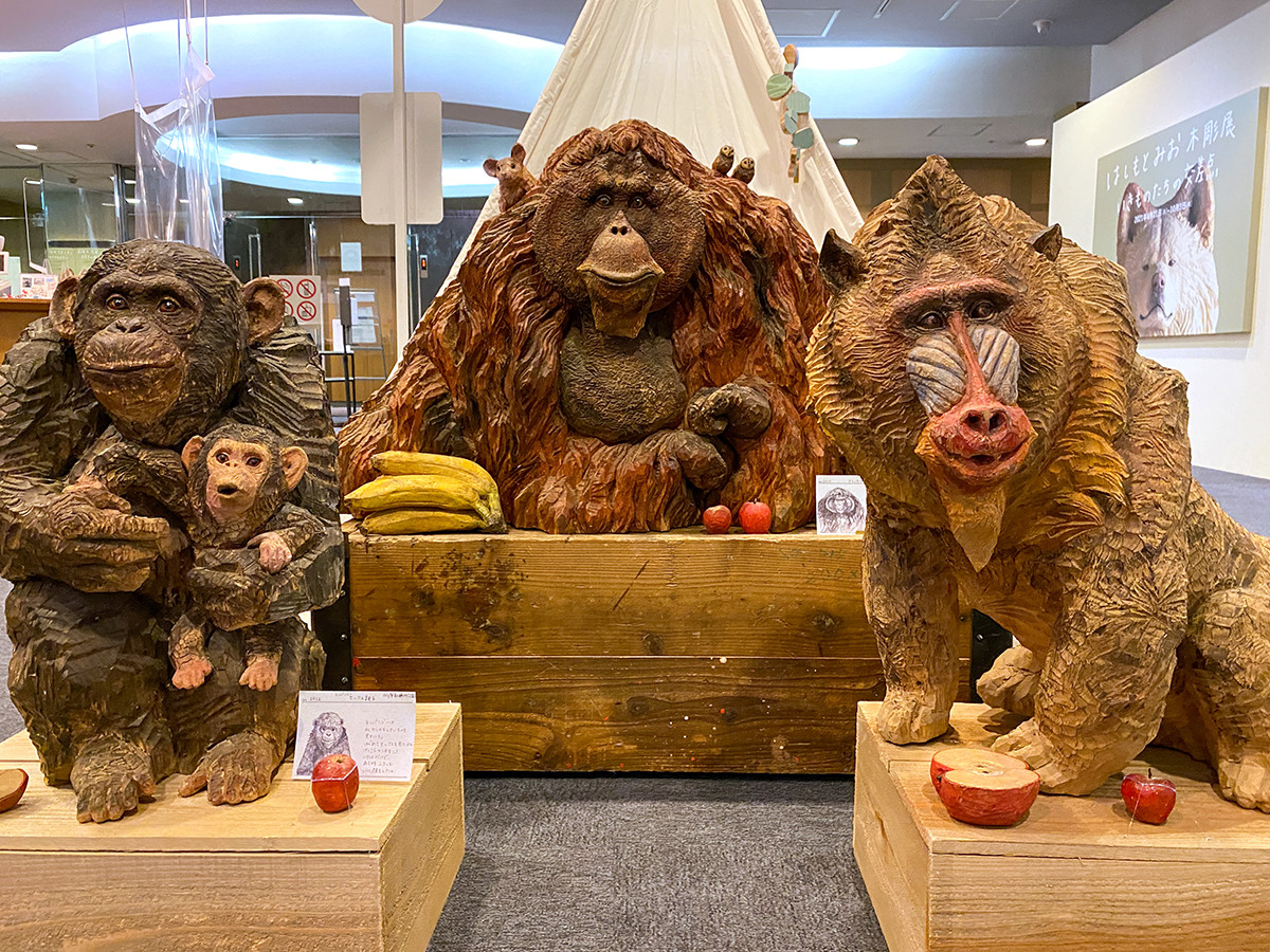 はしもとみお 木彫展 いきものたちの交差点 | レポート | アイエム