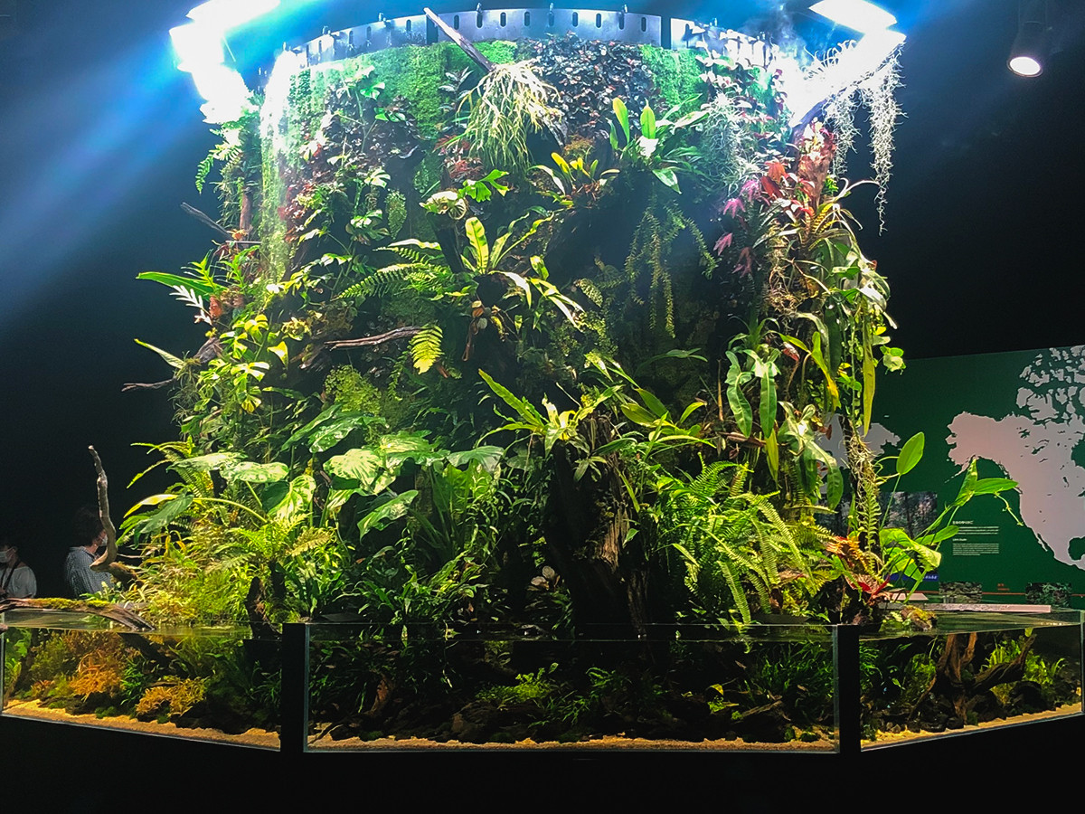 Gallery AaMo「NATURE AQUARIUM EXHIBITION 2021 TOKYO」会場