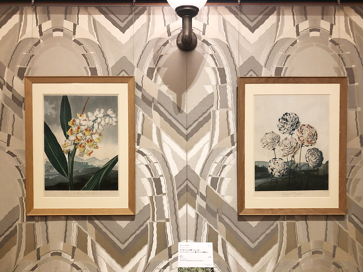 東京都庭園美術館「キューガーデン　英国王室が愛した花々」会場