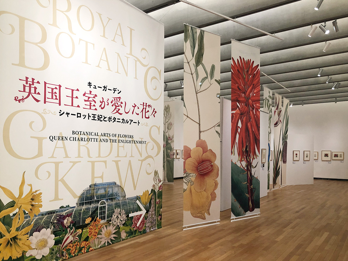 東京都庭園美術館「キューガーデン 英国王室が愛した花々」会場