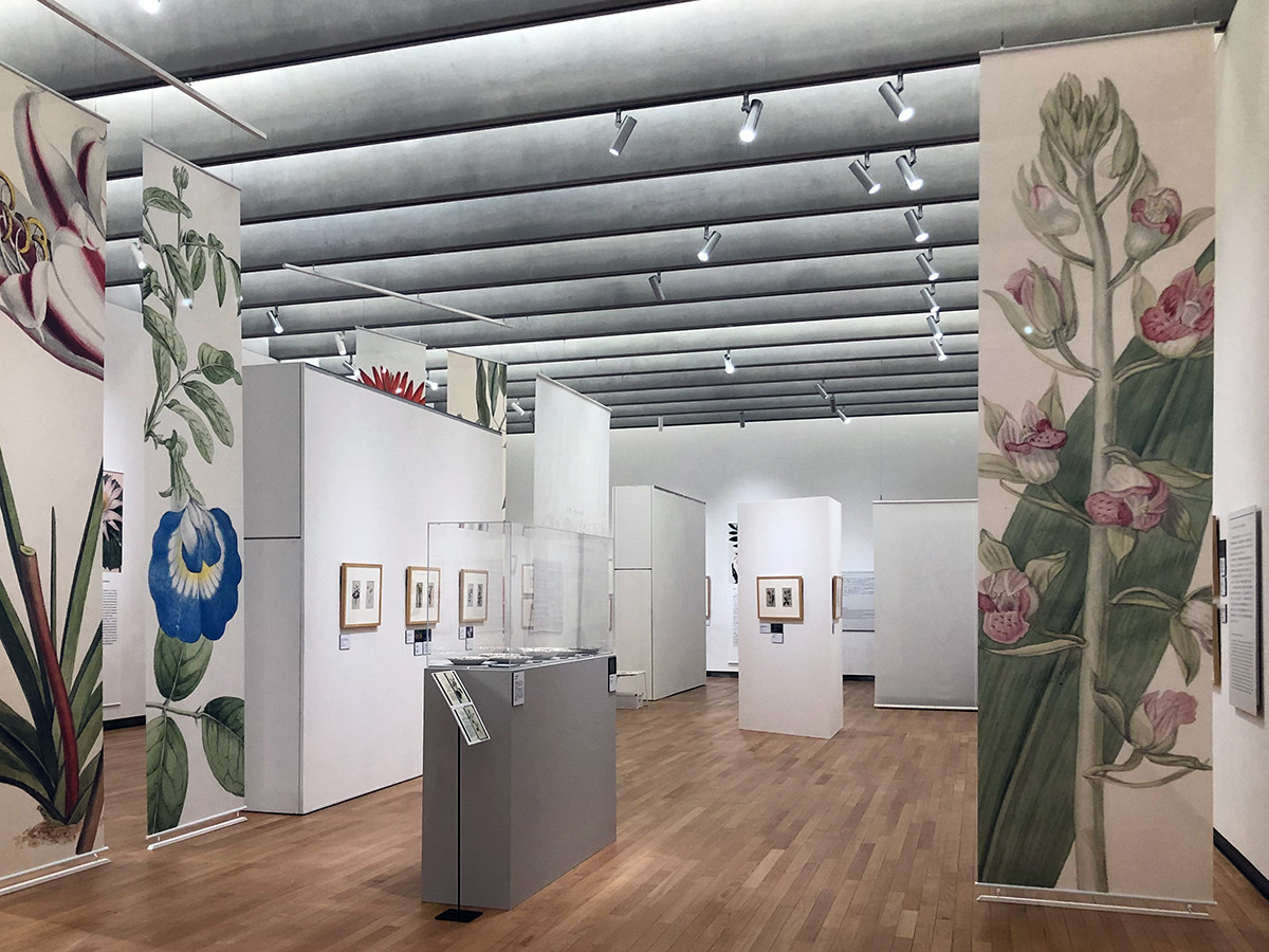 東京都庭園美術館「キューガーデン 英国王室が愛した花々」会場