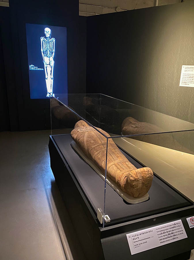 国立科学博物館「大英博物館ミイラ展　古代エジプト6つの物語」会場