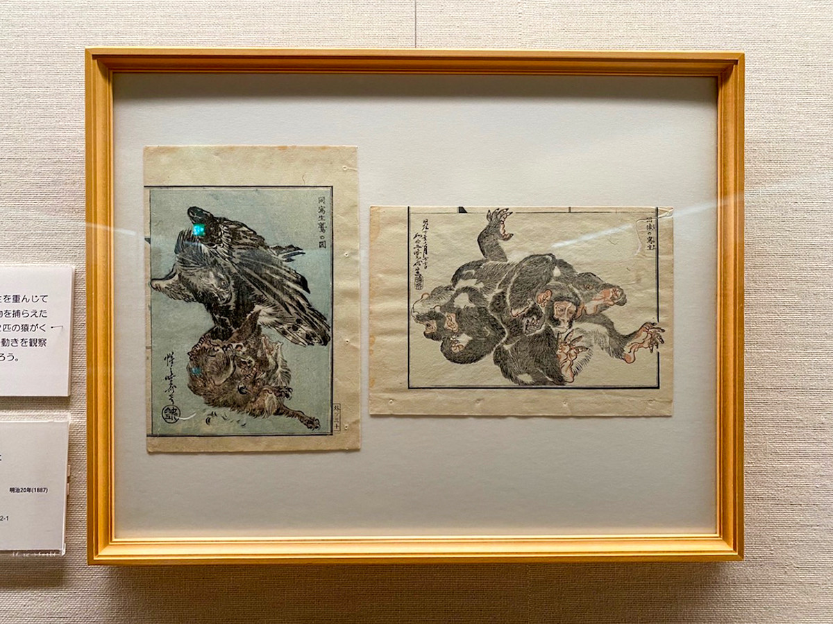 太田記念美術館「河鍋暁斎　― 躍動する絵本」会場