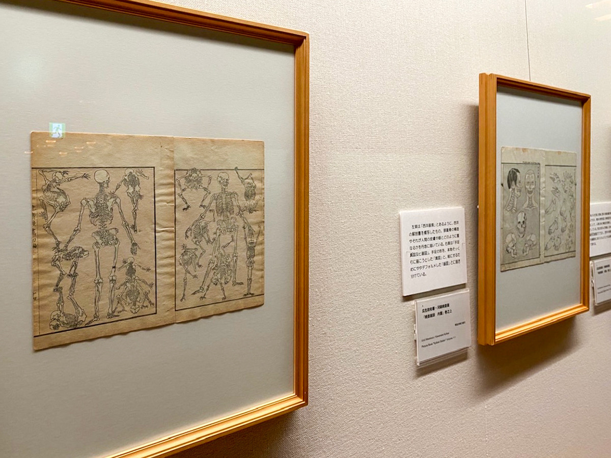 太田記念美術館「河鍋暁斎　― 躍動する絵本」会場