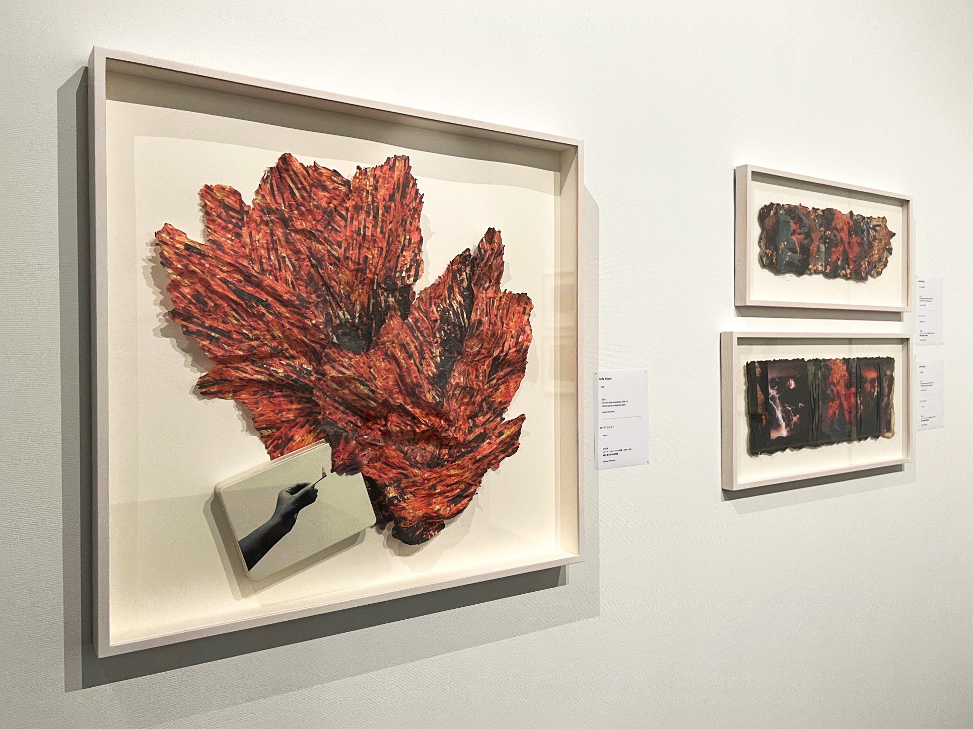 東京都写真美術館「プリピクテ 東京展『FIRE / 火』」会場から カーラ・リッピー(メキシコ)の作品
