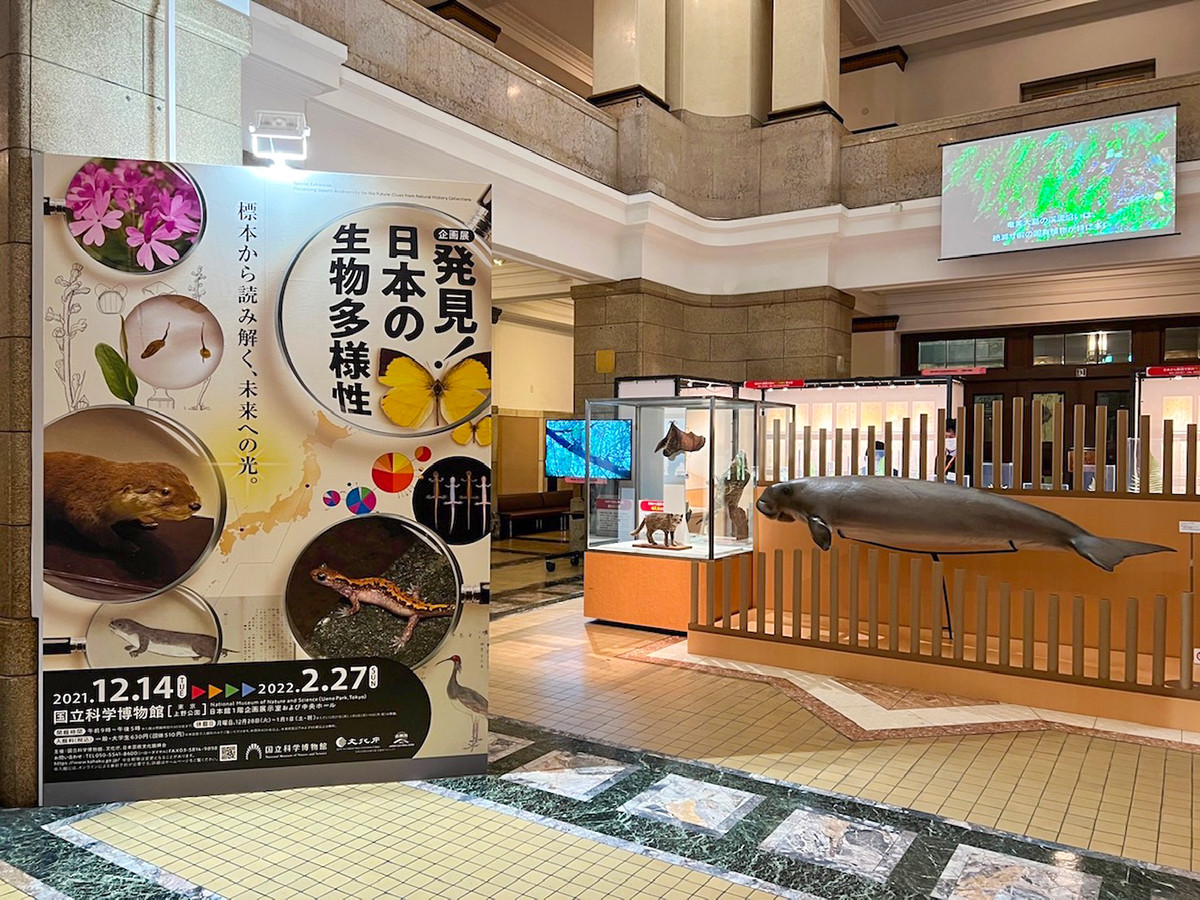国立科学博物館「発見!日本の生物多様性」会場