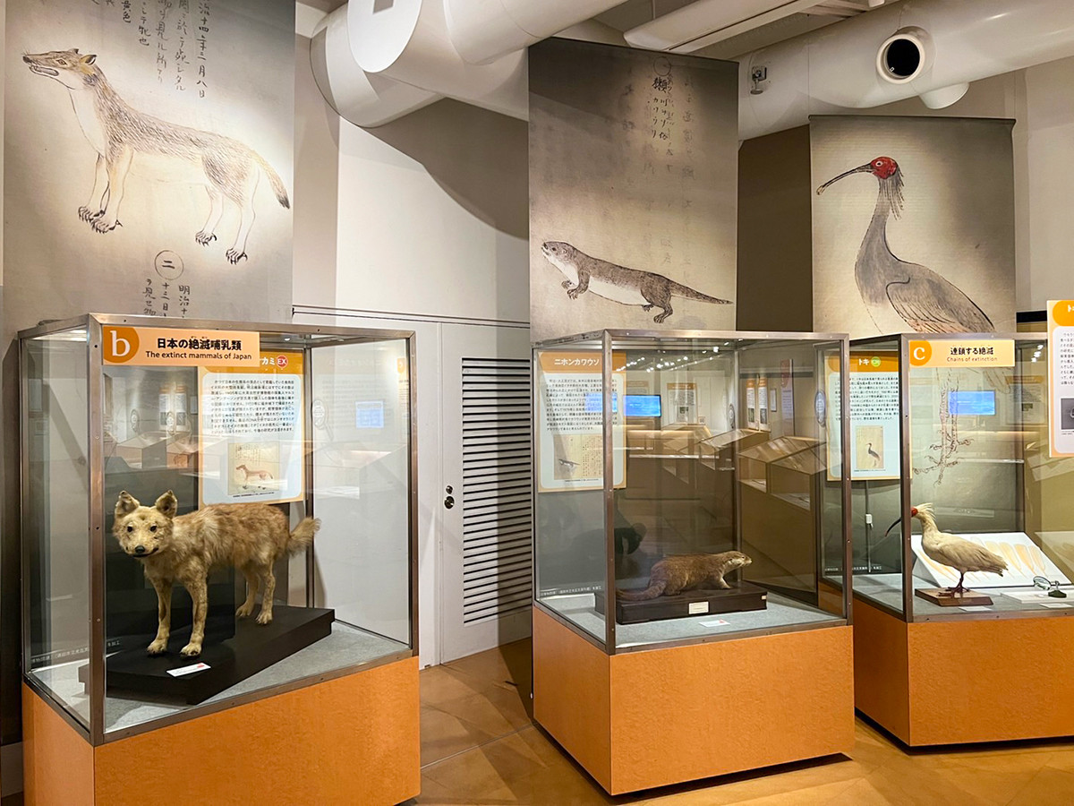 国立科学博物館「発見!日本の生物多様性」会場