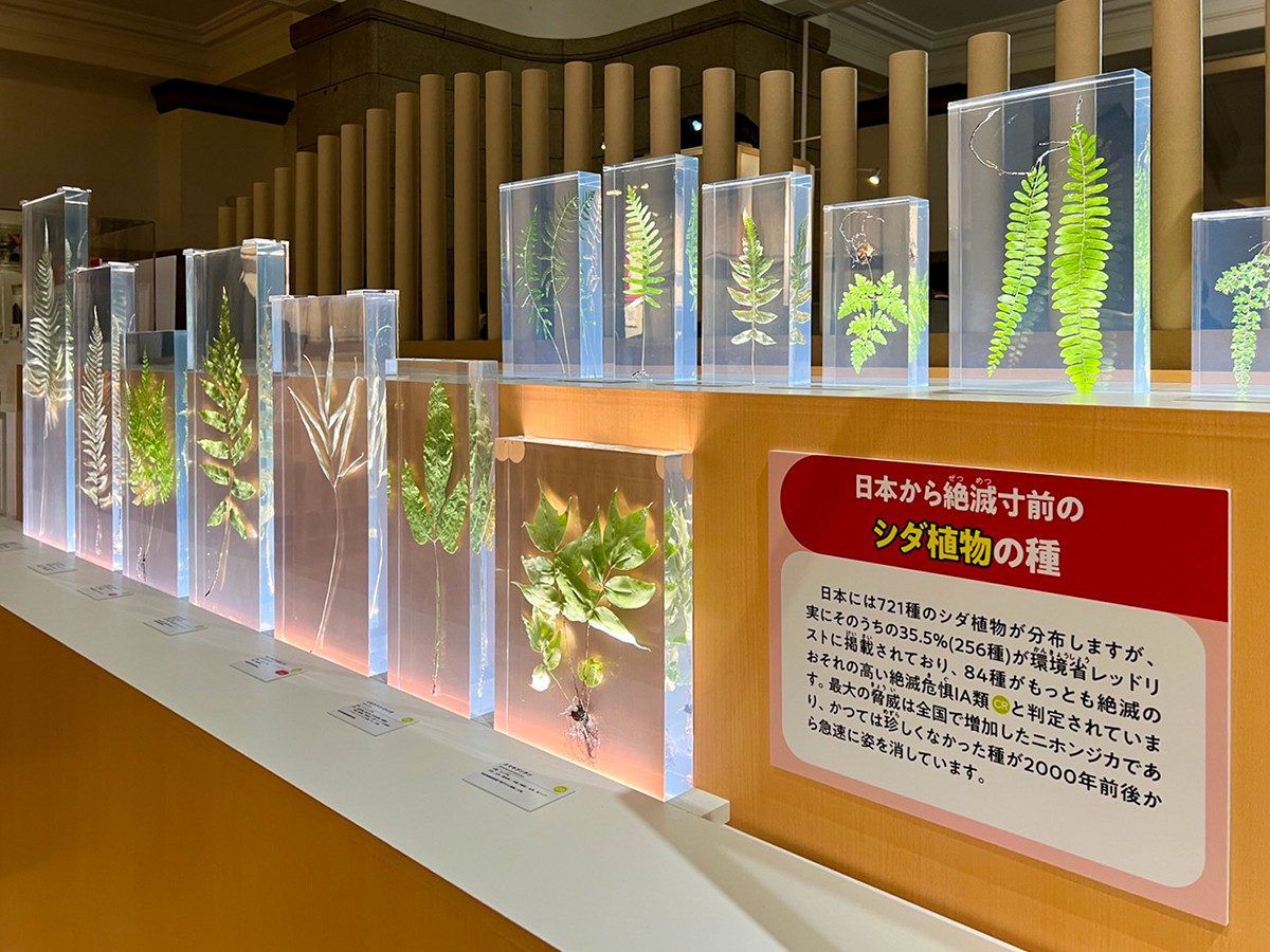 国立科学博物館「発見!日本の生物多様性」会場