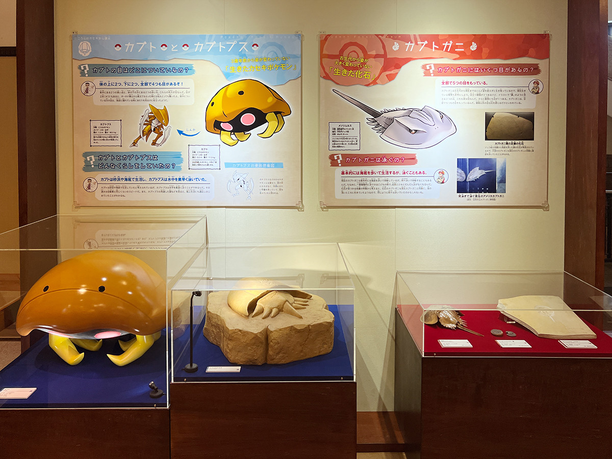 特別企画展 ポケモン化石博物館 レポート アイエム インターネットミュージアム