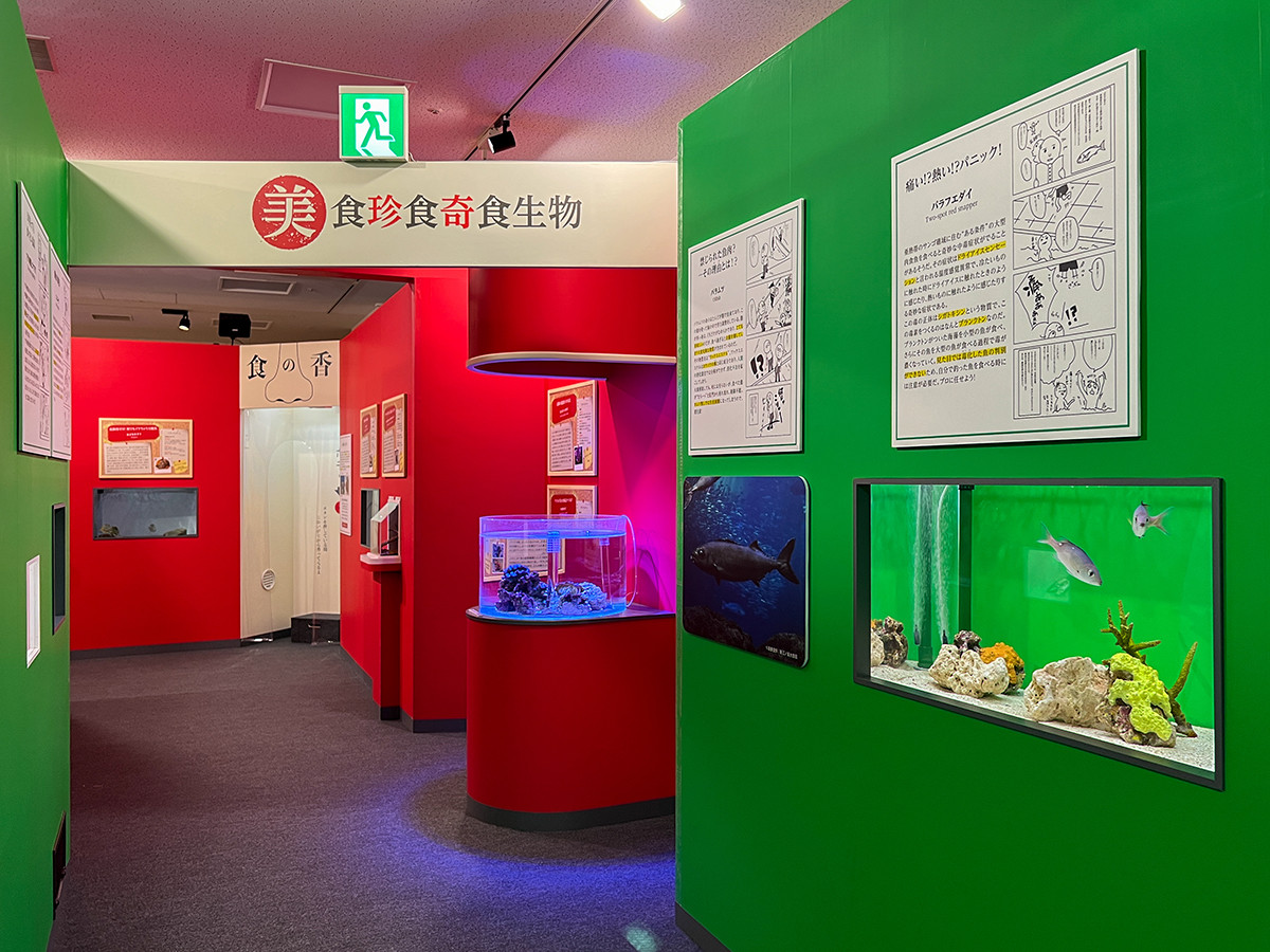 サンシャイン水族館「美味しくてすごい生き物展~美食奇食珍食生物図鑑~」会場