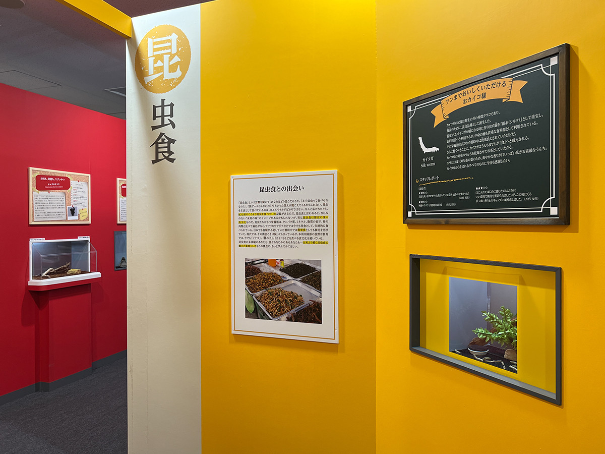 サンシャイン水族館「美味しくてすごい生き物展~美食奇食珍食生物図鑑~」会場