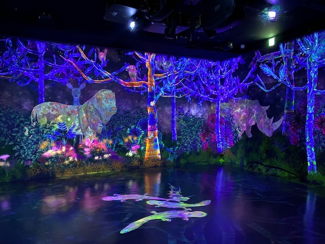 Galaxy Harajuku「Galaxy & チームラボ:捕まえて集める神秘の森」会場