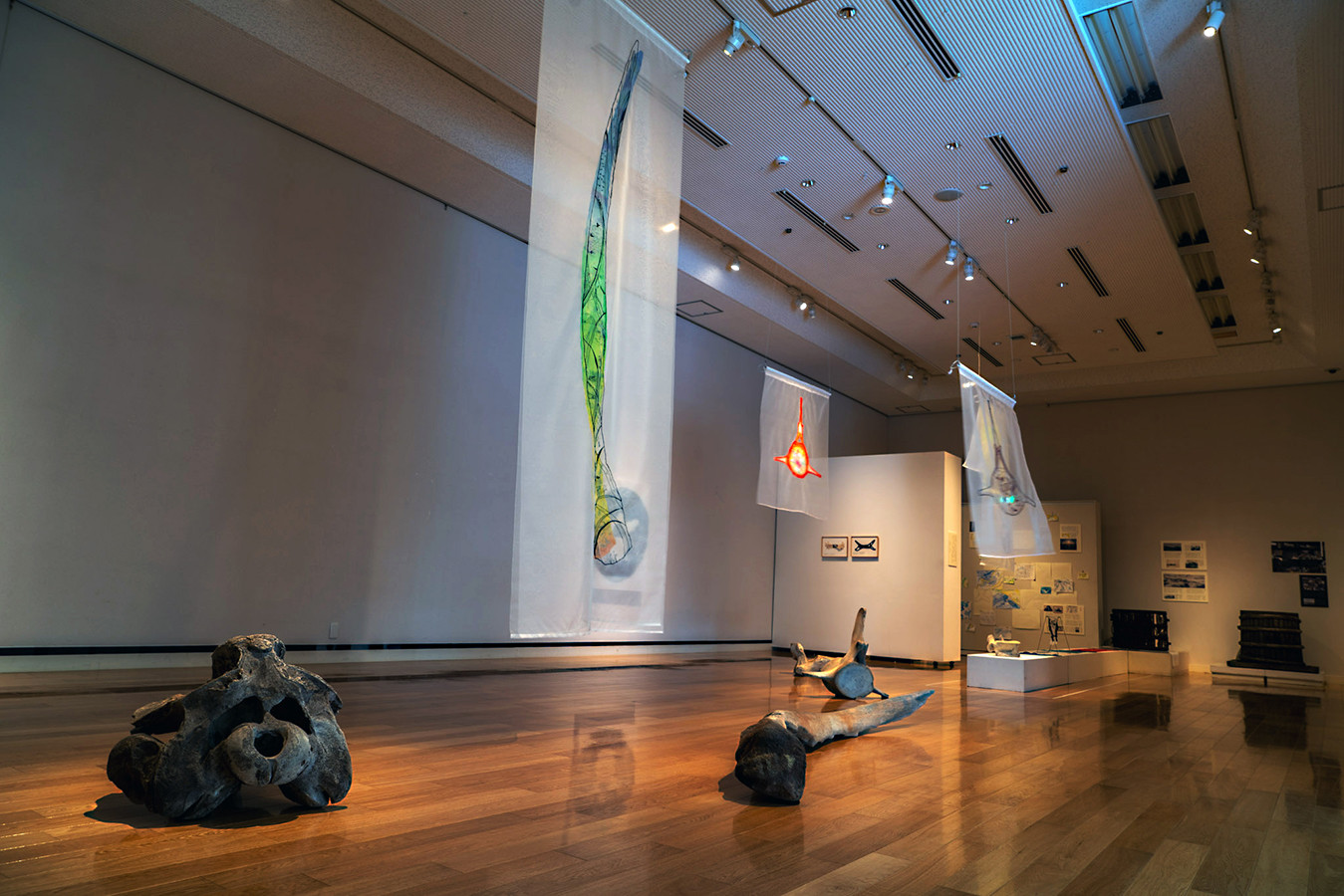 苫小牧市美術博物館 企画展「NITTAN ART FILE 4：土地の記憶～結晶化する表彰」（2022年）是恒さくら作品展示風景（撮影=佐藤祐治）