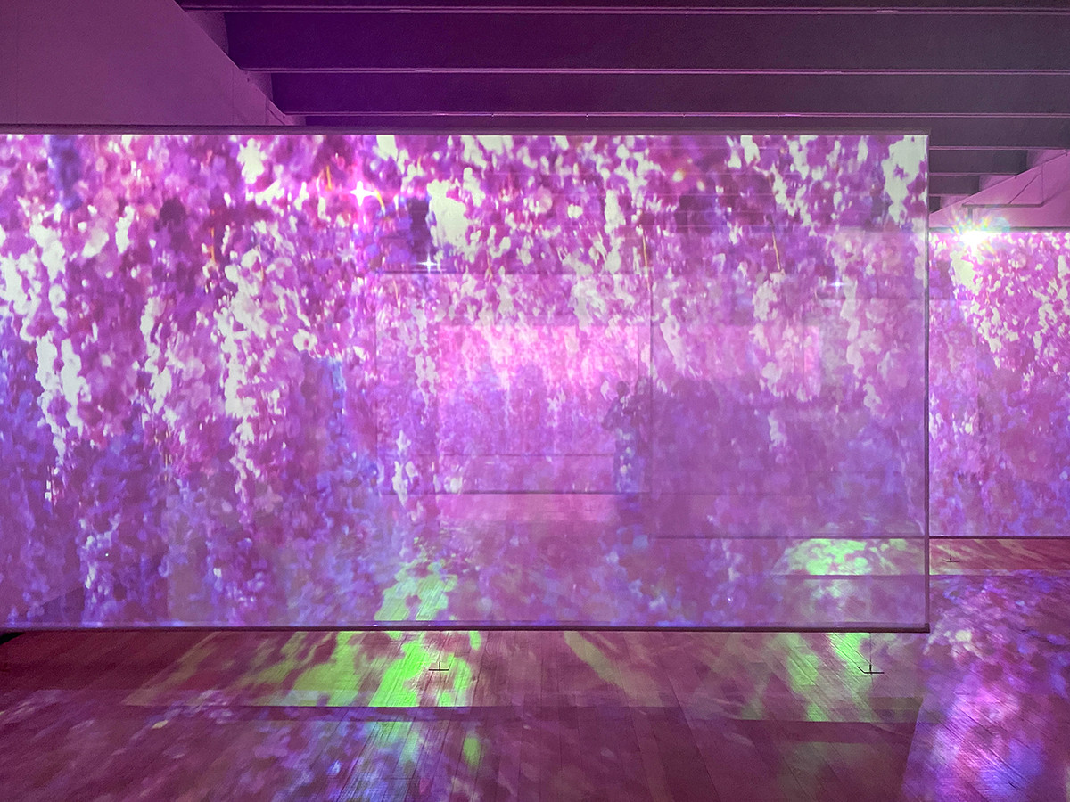 東京都庭園美術館 蜷川実花「瞬く光の庭」展 会場