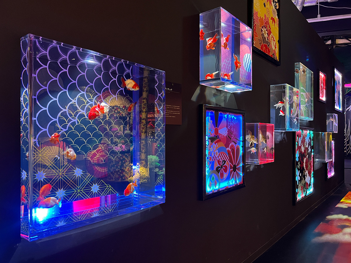 「UWS AQUARIUM GA☆KYO」会場風景