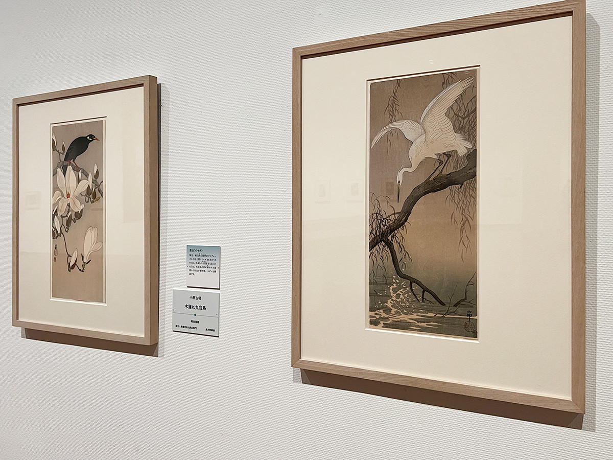 千葉市美術館「新版画　進化系UKIYO-Eの美」会場より　（左から）小原古邨《木蓮に九官鳥》明治後期　版元：滑稽堂秋山武右田衛門 ／ 小原古邨《小鷺》明治後期　版元：滑稽堂秋山武右田衛門