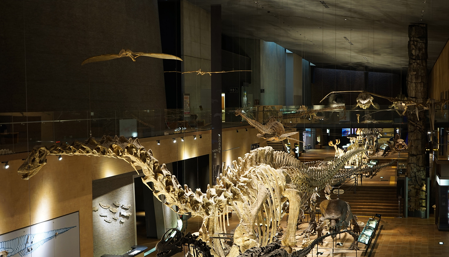 北九州市立自然史・歴史博物館　展示室