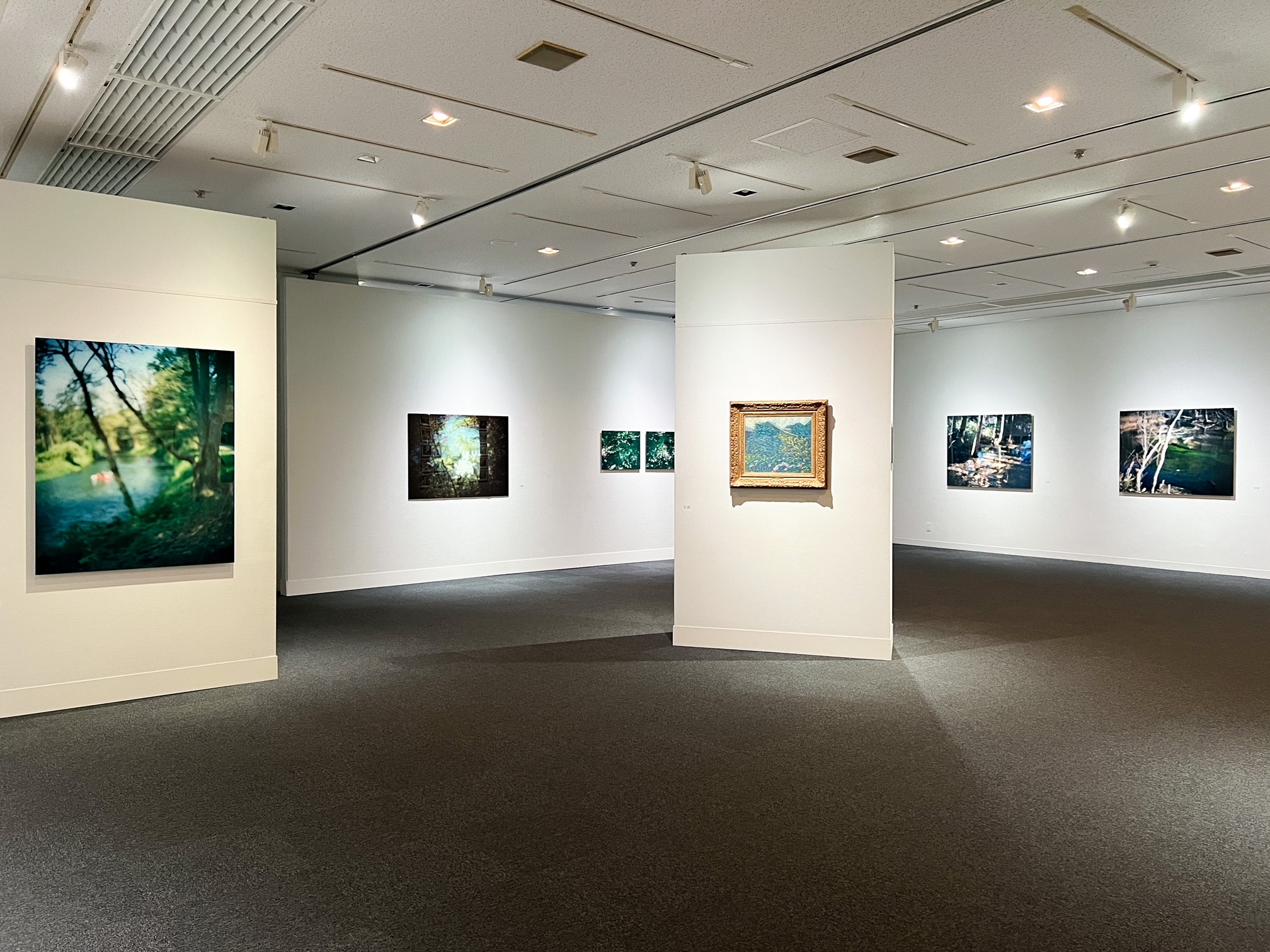 埼玉県立近代美術館「桃源郷通行許可証」会場