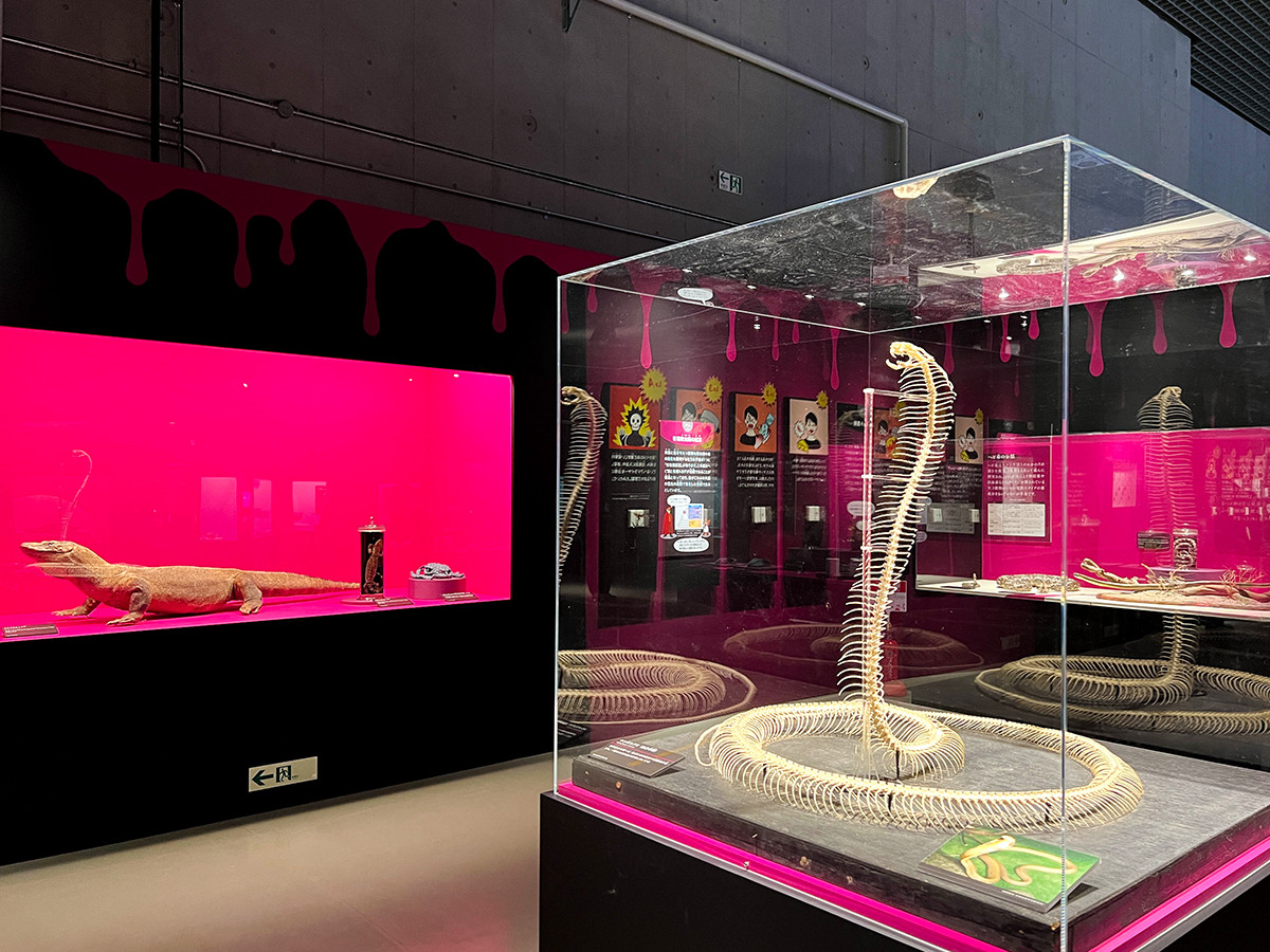 国立科学博物館　特別展「毒」会場