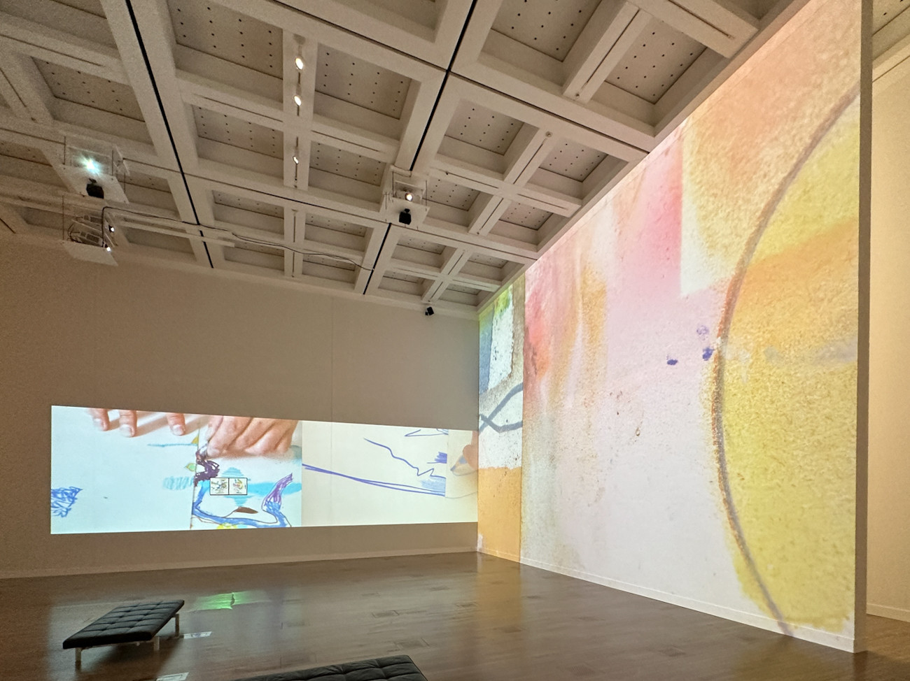 国立新美術館「DOMANI・明日展 2022-23」会場より 小金沢健人