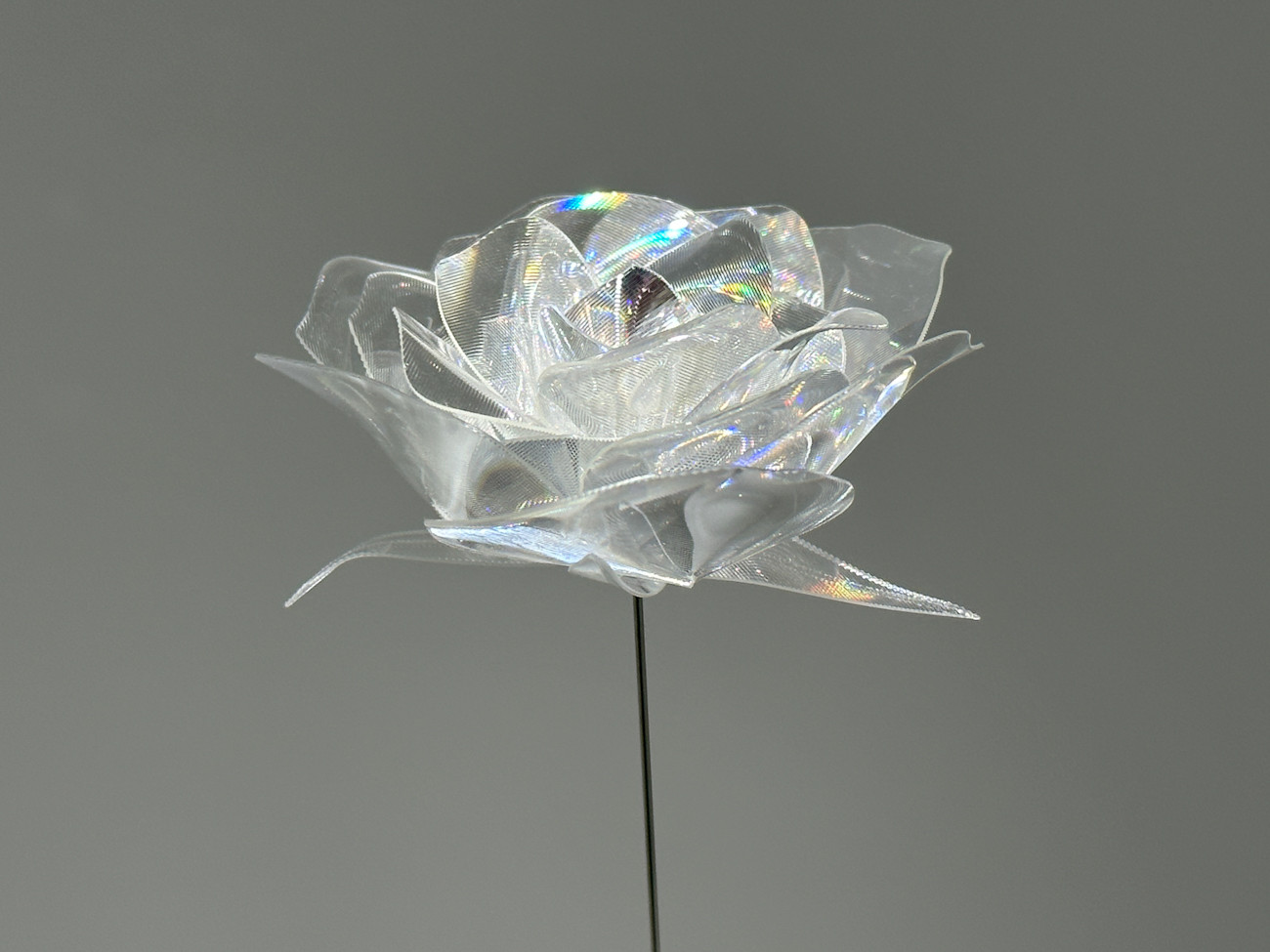 BAG-Brillia Art Gallery-「Takahiro Matsuo “Light Crystallized” 」会場