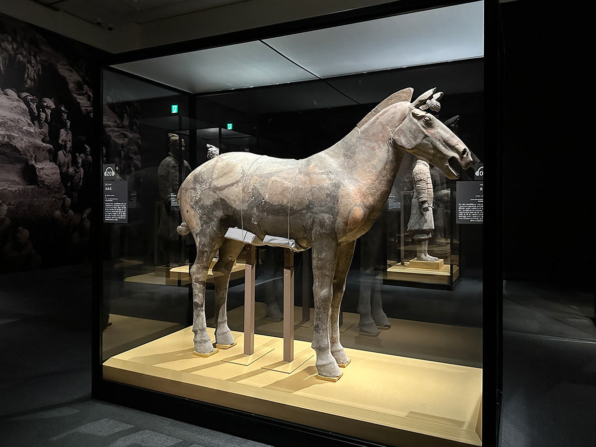 上野の森美術館「兵馬俑と古代中国～秦漢文明の遺産～」会場より　《戦車馬》統一秦 秦始皇帝陵博物院（一級文物）