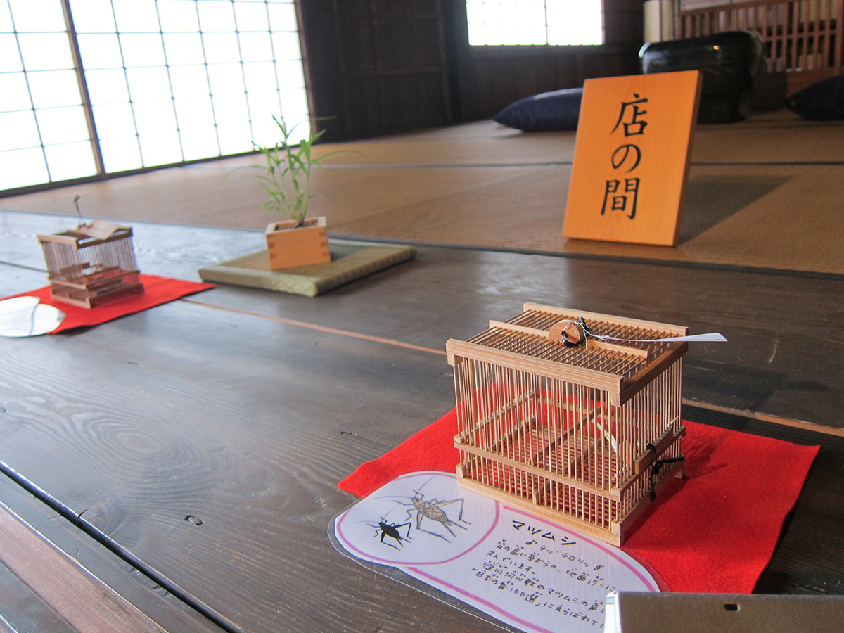 伊丹市昆虫館　「鳴く虫と郷町」イベント