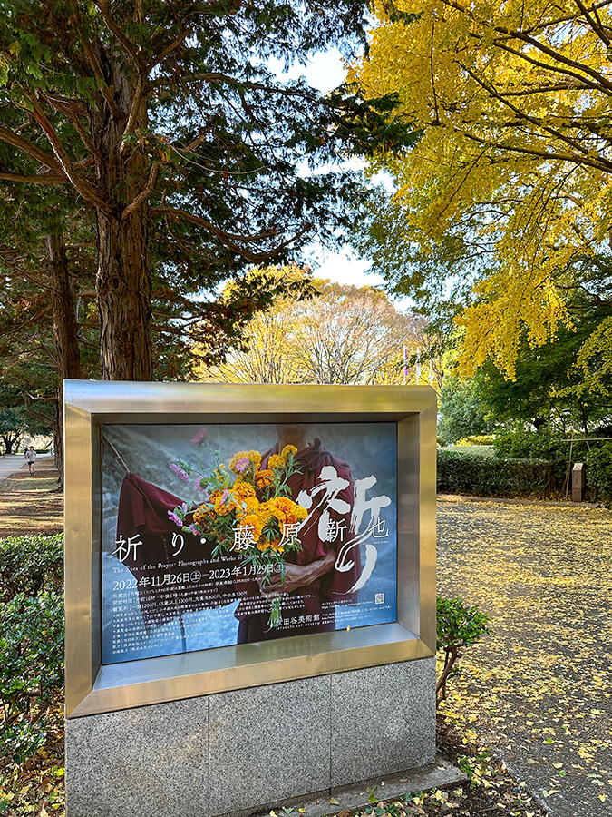 祈り・藤原新也 | レポート | アイエム［インターネットミュージアム］