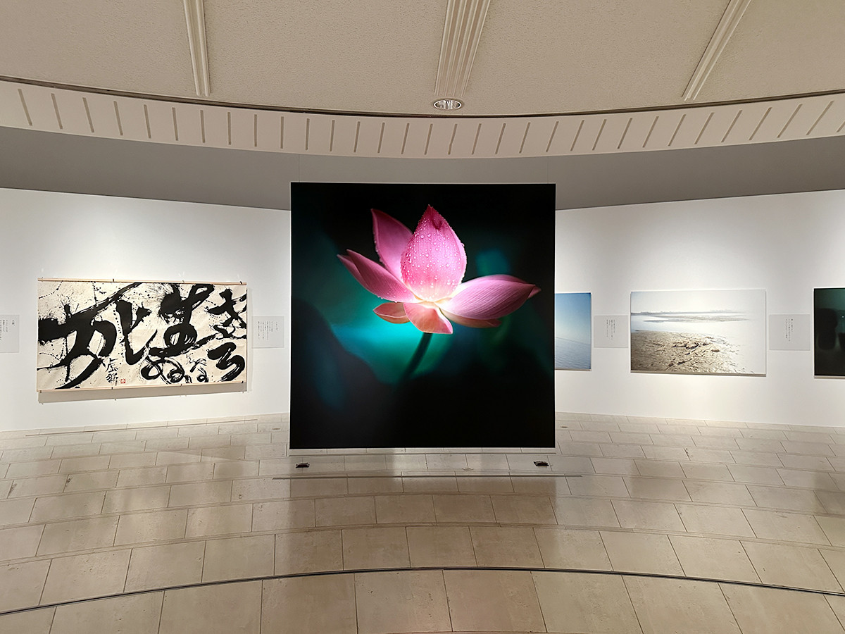 世田谷美術館「祈り・藤原新也」会場より 「序章」