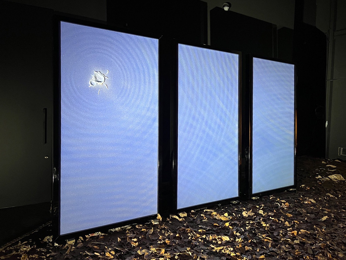 寺田倉庫 G3 6F「挾土秀平『土に降る』」会場