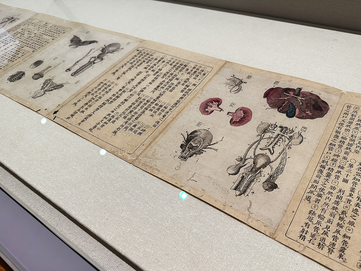 千葉市美術館「没後200年　亜欧堂田善　江戸の洋風画家・創造の軌跡」会場より　亜欧堂田善・新井令恭（画）、宇田川玄真（著）『医範提綱内象銅版図』文化5年（1808）3月跋 杜若文庫［全期間展示］