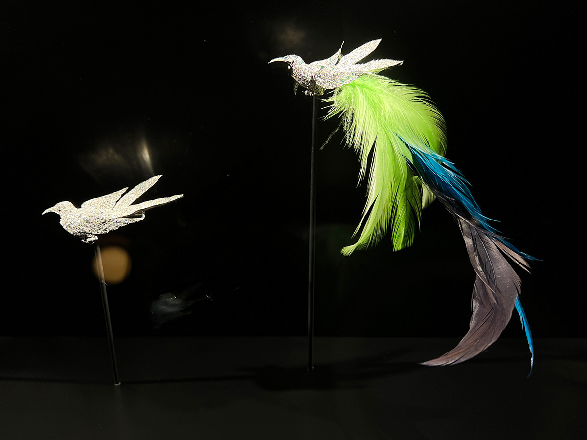インターメディアテク「開館十周年記念特別展示『極楽鳥』」会場