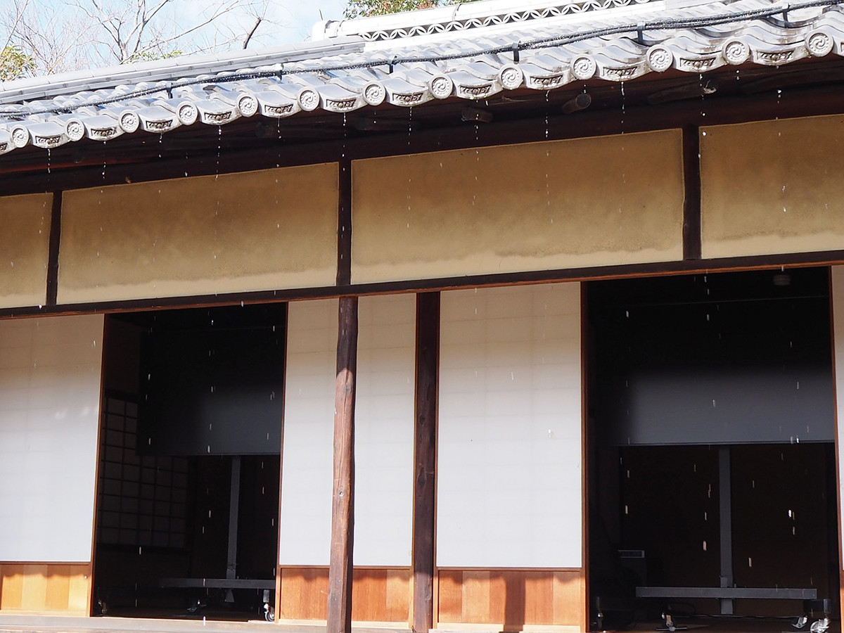 池上高志さんの《What you can see is what you can’t see》