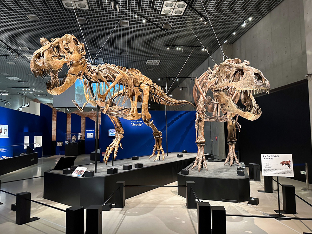 国立科学博物館「恐竜博2023」会場